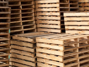 Industry Experts Share: Selecting the Right Access Equipment for Elevated Work