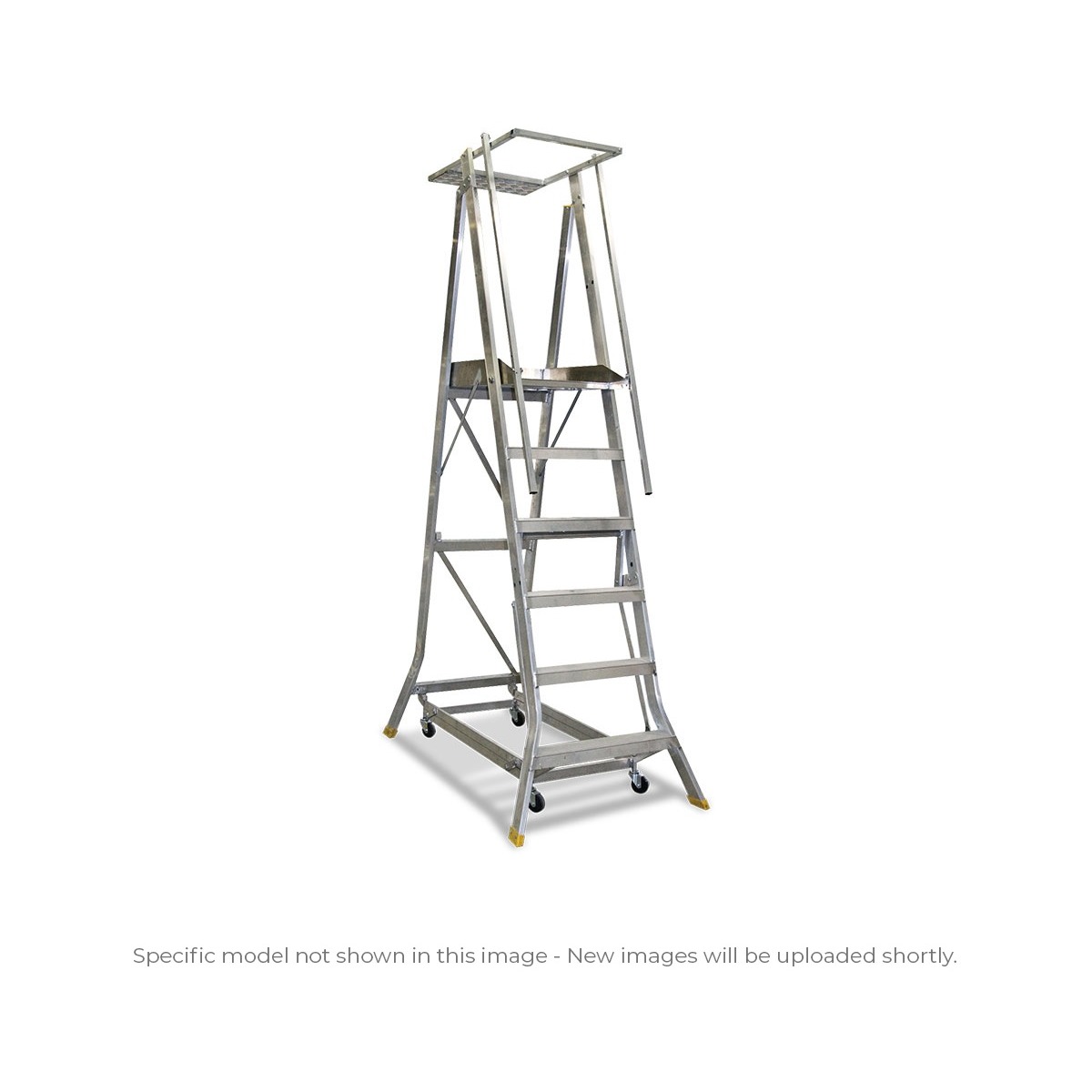 Industrial Platform Ladder Model Image