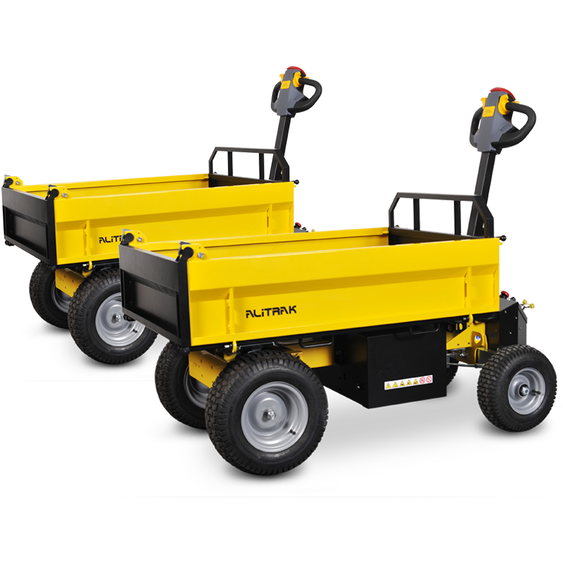 Electric Transporter - Flatbed